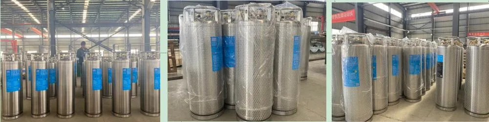 Vertical and Horizontal Dewar 175L / 195L / 210L 2.3 MPa, 500L 1.59 MPa Cryogenic Liquid Oxygen Container Gas Cylinder