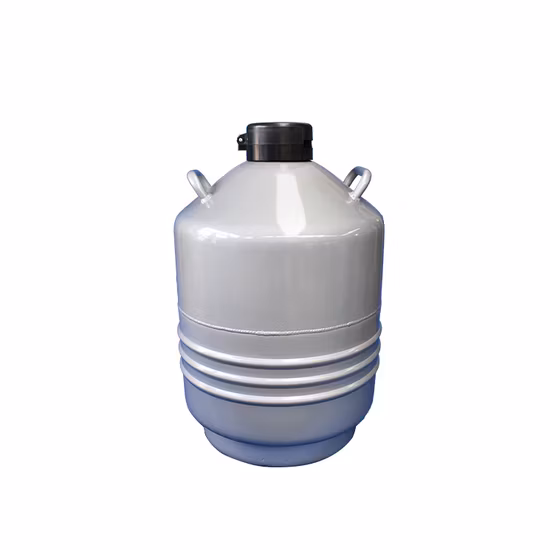 Yds 35 Liquid Nitrogen 35 Liters LNG Dewar Tank Container